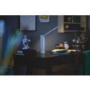 Philips 8719514420373 LED prenosné dotykové stolné svietidlo Amber 1x5W | 120lm | 4000K- USB, stmievateľné, biela