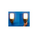 Philips WiZ 8720169072114 LED vonkajšie svietidlo s kamerou | 17W integrovaný LED zdroj | 2700K