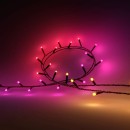 Philips Hue 8720169246867 LED vianočná svetelná reťaz Festavia | 28W integrovaný LED zdroj