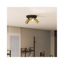 Philips 8720169299252 bodové stropné svietidlo Idris  GU10