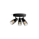 Philips 8720169299351 bodové stropné svietidlo Palms  E14