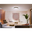 Philips Hue 41161/30 / P6 LED stropné svietidlo Enrave XL + Hue Switch 1x48W | 6100lm | 2200-6500K - stmievateľné, Bluetooth, White Ambiance, čierna