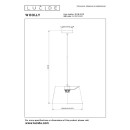 Lucide L104160133 závesné stropné svietidlo WOOLLY  E27