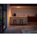 Philips Hue  8721103044594 prisadené stropné svietidlo Surimu  | 60W integrovaný LED zdroj | 2850lm | 2000-6500K | rgb - farebné | stmievač | biela