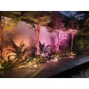 Philips Hue 17466/30 / P7 LED vonkajšie nástenné svietidlo Amarant 1x20W | 1400L | 2000-6500K | RGB | IP65 - White and Color Ambience, čierna