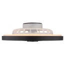 Globo 03653 LED ventilátor s osvetlením BLIZZAK  | 45W integrovaný LED zdroj | 2080lm | 3000-6500K