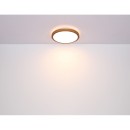Globo 41764-24 LED stropnica Bruno 1x24W | 1000lm | 3000-4500-6000K