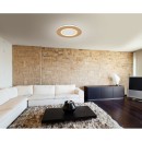 Globo 41767R LED prisadené stropné svietidlo CLAY  | 24W integrovaný LED zdroj | 1370lm | 2700-6500K