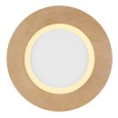 Globo 41767R LED prisadené stropné svietidlo CLAY  | 24W integrovaný LED zdroj | 1370lm | 2700-6500K