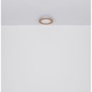 Globo 41767R LED prisadené stropné svietidlo CLAY  | 24W integrovaný LED zdroj | 1370lm | 2700-6500K