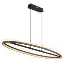 Globo DELLA 67179H1 LED závesné stropné svietidlo | 60W LED | 2650lm