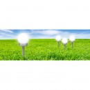 Globo 33770-3 LED vonkajšie solárne svietidlo Solar 1x0,06W | IP44 - na zapichnutie, set 3 svetiel, biela, strieborná