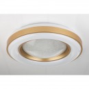 Globo 41742-48RGB LED stropné svietidlo Colla 1x48W | 200-2000lm | 3000K-6500K | RGB - diaľkový ovládač, stmievateľné, menič farieb, fixácia farieb, nočné osvetlenie, biela