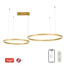 Immax NEO 07218L LED závesné stropné svietidlo CANTO  | 60W integrovaný LED zdroj