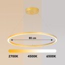 Immax 07159-G80 LED FINO | 60W integrovaný LED zdroj | 4200 lm | 2700K - 6500K