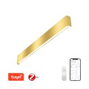 Immax 07137-G LED LÍNEA  | 40W integrovaný LED zdroj | 2160lm | 2700-6500K