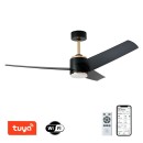 Immax NEO LITE 07280L LED ventilátor s osvetlením BEAUTY  integrovaný LED zdroj