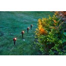 Immax 07903L LED solárne LITE REFLECTORES | 4W integrovaný LED zdroj | 2700K - 6500K