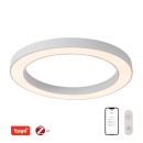 Immax NEO 07213L LED prisadené stropné svietidlo PASTEL | 52W integrovaný LED zdroj
