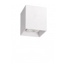 stropné svietidlo Lucide Bodi 09101/01/31 1x42W GU10