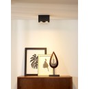 stropné svietidlo Lucide Bodi 09101/02/30 2x50W GU10
