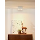 stropné svietidlo Lucide Bodi 09101/02/31 2x50W GU10