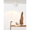 LED stropné svietidlo bodové svietidlo Lucide Dialo-LED 09910/12/31 1x12W G53