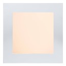 Lucide 28117/17/31 LED prisadené stropné svietidlo Brice 1x15W | 3000K | IP44 - stmievateľné, do kúpeľne