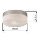 Globo 48401 stropné svietidlo Opal 1x60W | E27 - matný nikel, opál