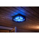 Philips HUE 17438/30 / P7 Econic exteriérové ​​nástenné svietidlo 15W = 1150lm LED IP 442200-6500K R