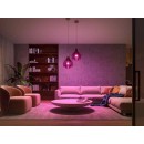Philips Hue 8719514291379 Žiarovky a Hue Bridge Starter Kit 2x11W | E27 | 806-1100lm | 2000-6500K | RGB - White and Color Ambiance, Bluetooth, ZigBee, diaľkové ovládanie, biela