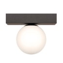 Zuma Line 133867-029048 prisadené stropné svietidlo SPHERE G9