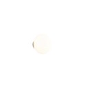 Trio TR27771101 LED nástenné svietidlo EARL | 1,5W integrovaný LED zdroj