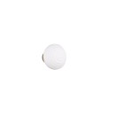 Trio TR27771101 LED nástenné svietidlo EARL | 1,5W integrovaný LED zdroj