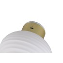 Trio TR27771101 LED nástenné svietidlo EARL | 1,5W integrovaný LED zdroj
