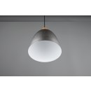 Trio R30681067 závesné stropné svietidlo Jagger 1x40W | E27 - nikel