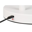 Trio TR42111131 LED stojacia lampa BLAKE | 4,5W integrovaný LED zdroj