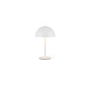 Trio TR54891131 LED stolná lampička MUNOZ | 1,3W integrovaný LED zdroj