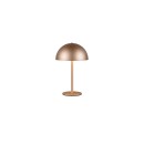 Trio TR54891165 LED stolná lampička MUNOZ | 1,3W integrovaný LED zdroj