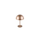 Trio TR54891165 LED stolná lampička MUNOZ | 1,3W integrovaný LED zdroj
