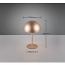 Trio TR54891165 LED stolná lampička MUNOZ | 1,3W integrovaný LED zdroj