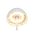 Trio TR55601131 LED stolná lampička ORTIZ | 2W integrovaný LED zdroj