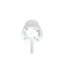 Trio TR55961131 LED stolná lampička DIAZ | 1,6W integrovaný LED zdroj