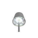 Trio TR55961177 LED stolná lampička DIAZ | 1,6W integrovaný LED zdroj