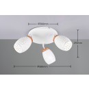 Trio TR61573331 bodové stropné svietidlo BIDAR E14