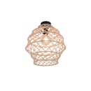 Trio TR61681036 prisadené stropné svietidlo HIVE E27