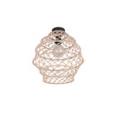 Trio TR61681036 prisadené stropné svietidlo HIVE E27