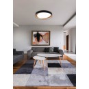 Trio R62712402 LED stropné svietidlo Zeta 1x24W | 2000L | 2700-6500K | IP20 - stmievateľné, nastavenie teploty osvetlenia, diaľkové ovládanie, čierna s bielou