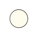 Trio R64381032 LED prisadené stropné svietidlo Scott | 30W integrovaný LED zdroj | 3600 lm | 3000-6500K