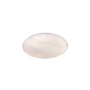 Trio TR64631901 LED prisadené stropné svietidlo UMBRIA | 23W integrovaný LED zdroj